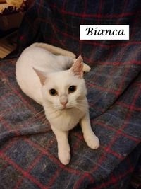 Bianca2