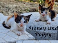 Honey und Poopy