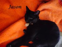 Jason2