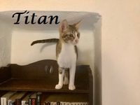 Titan1
