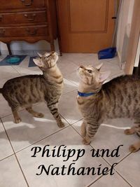 Philipp und Nathaniel1